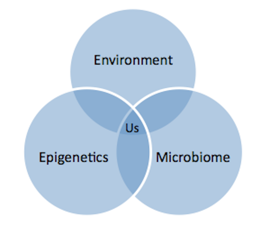 epigenetics