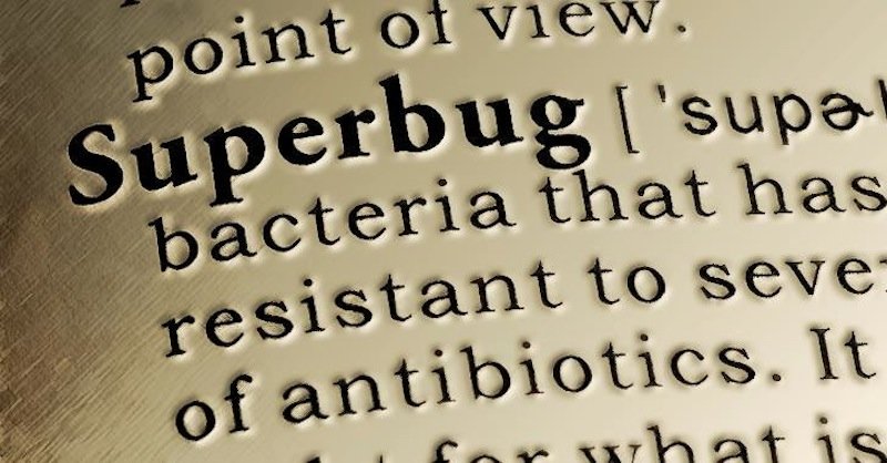 superbug