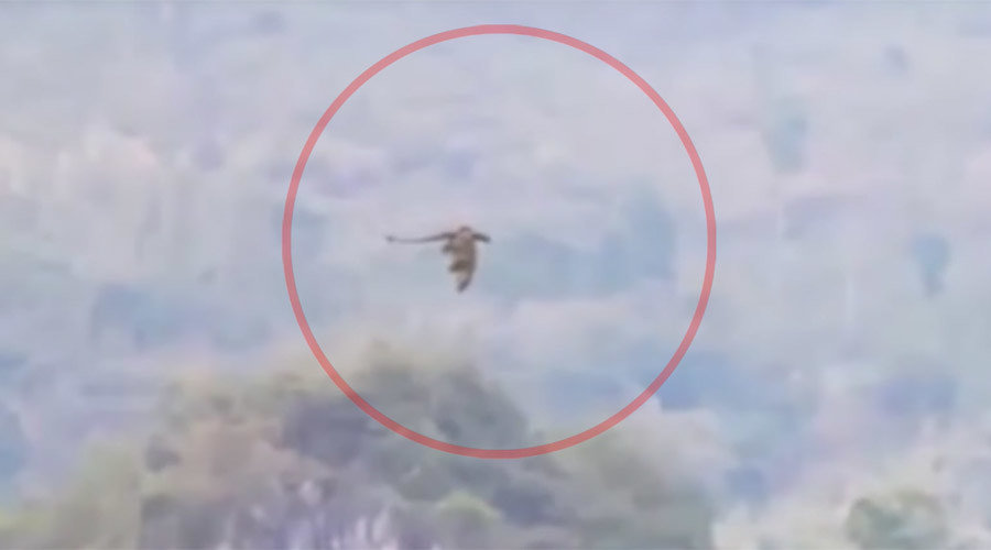 Flying dragon?
