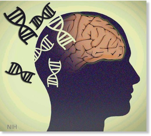 genetic