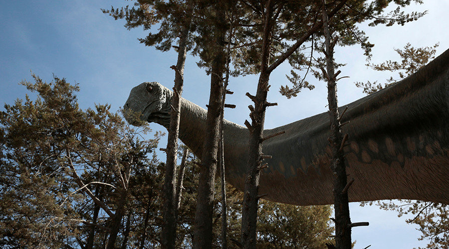dinosaur discovery australia