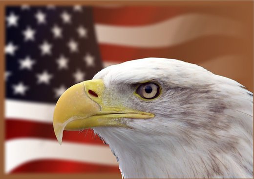 Eagle with American flag