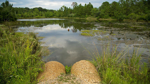 Click to enlarge Gethsemane Cemetery pond