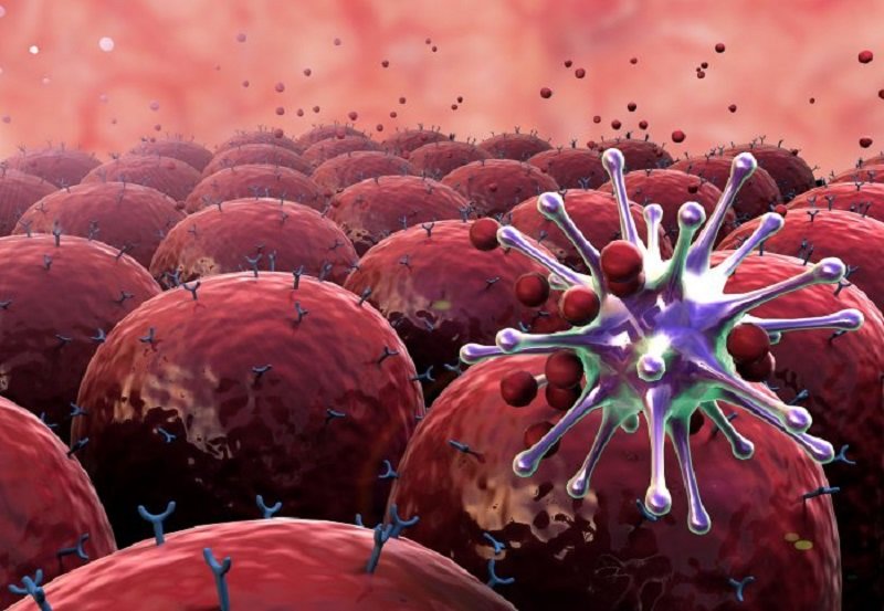 Cell