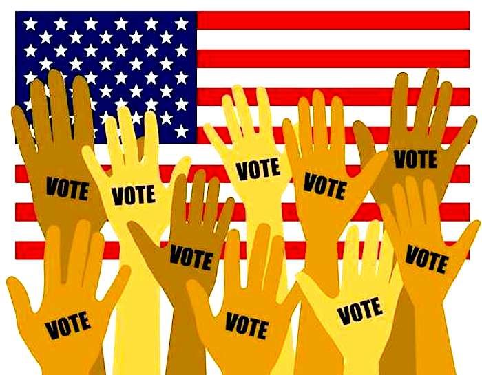 vote hands flag