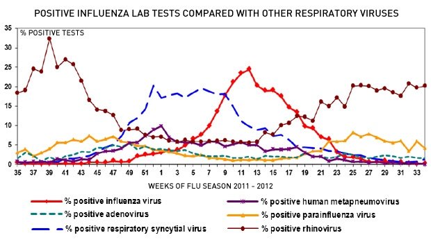 Click to enlarge Flu Chart