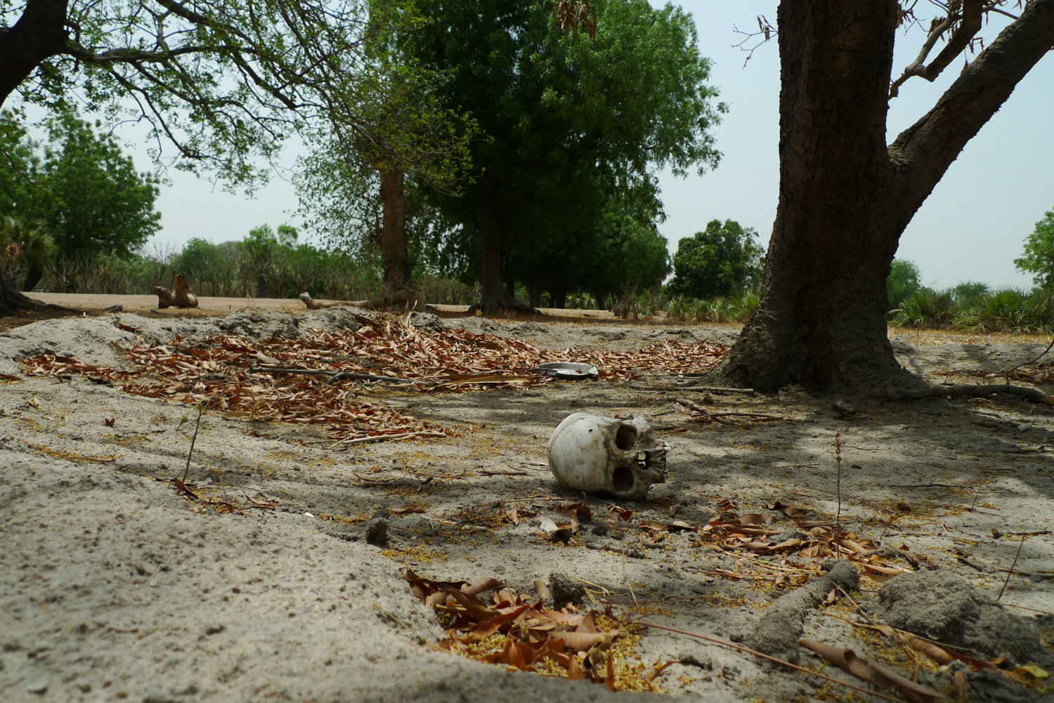 Click to enlarge leer south sudan