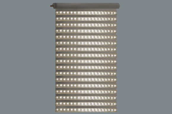 Click to enlarge Life Light