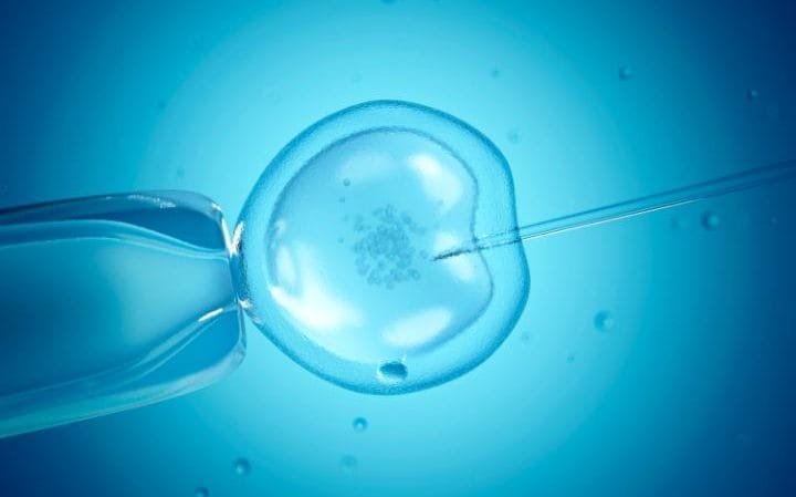 IVF procedure