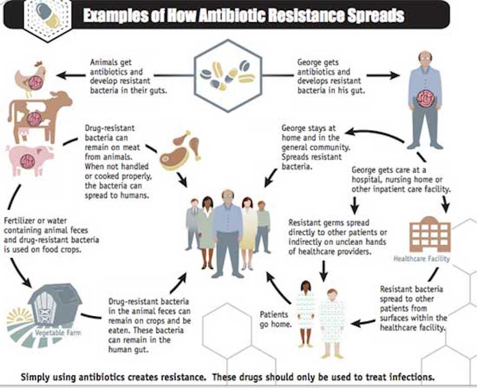 Click to enlarge antibiotic resistance