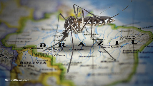 Click to enlarge Zika