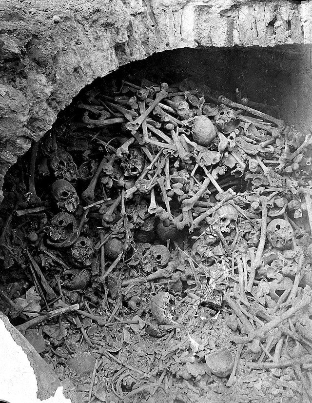 mass grave bones