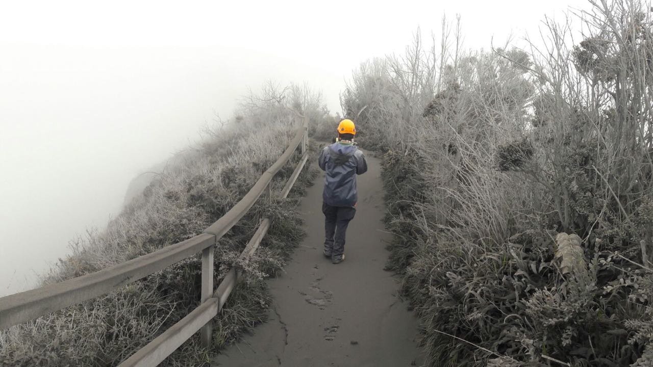 Volcanic ash