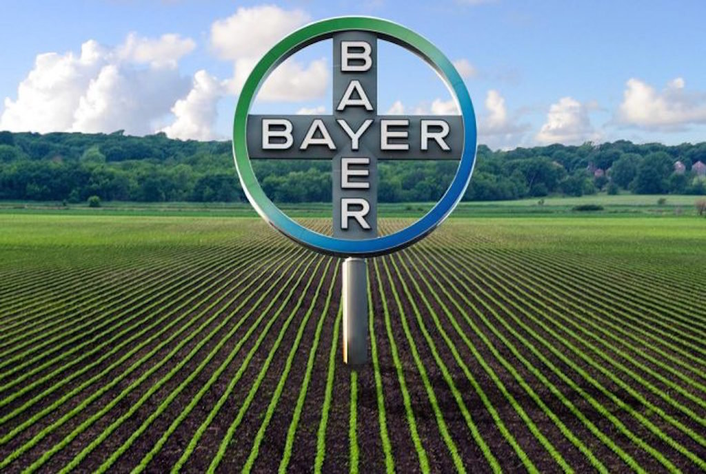Click to enlarge Bayer