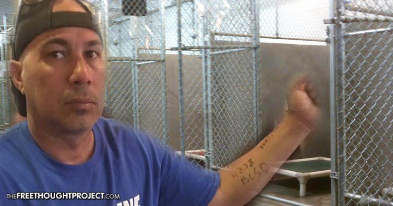 Click to enlarge dakota access pipeline protester marked with numbers in front of dog kennel