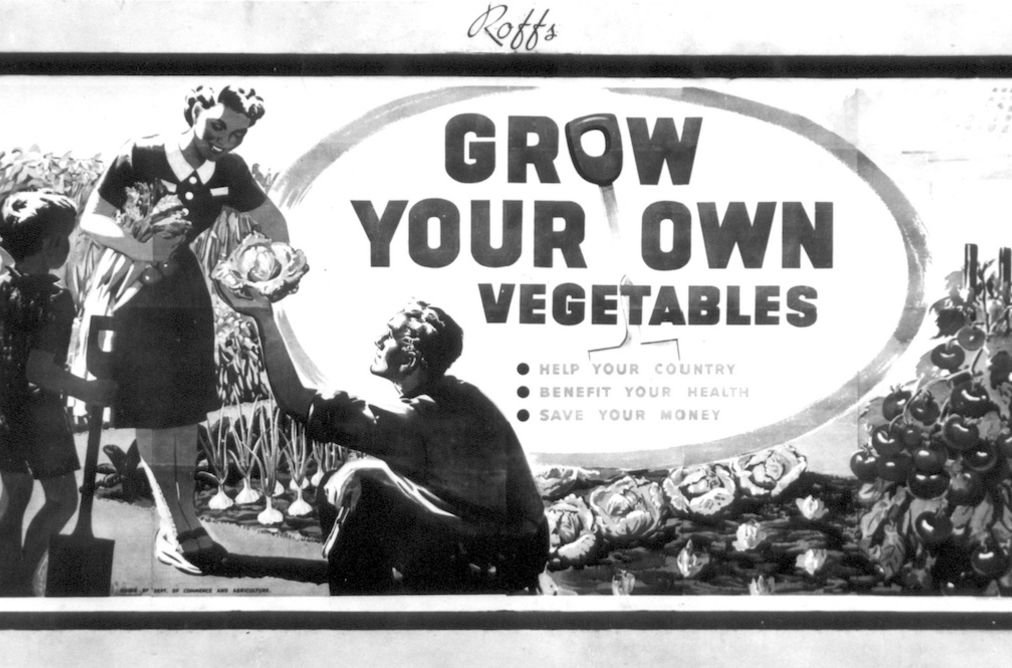 Grow Your Own poster