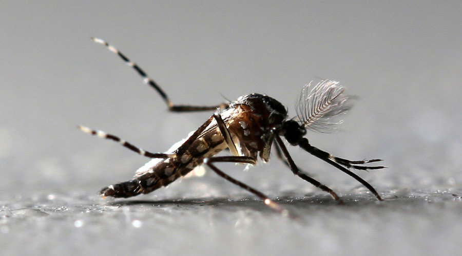 mosquito-transmitted Zika virus
