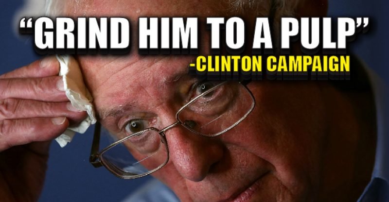 Bernie Sanders ground to pulp