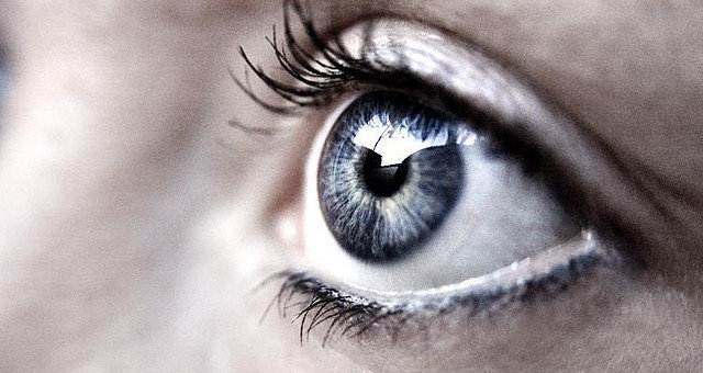 human eye