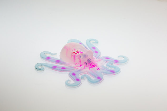 Click to enlarge octobot