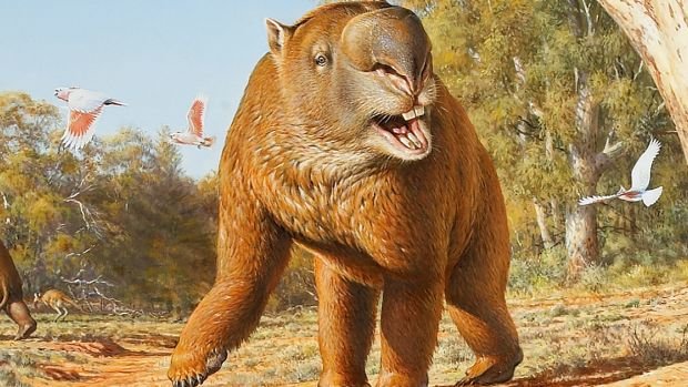Click to enlarge Diprotodon