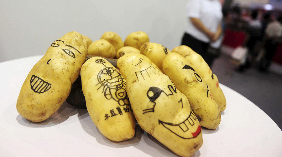 GMO potatoes 