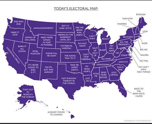 US elections cartoon