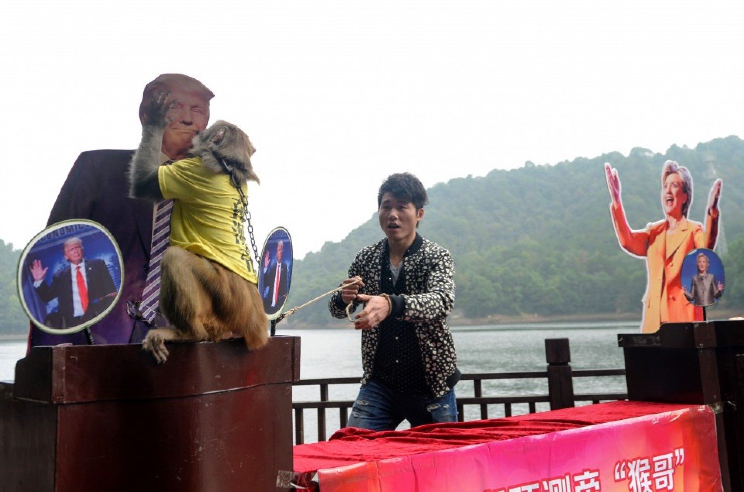 Monkey choosing US president