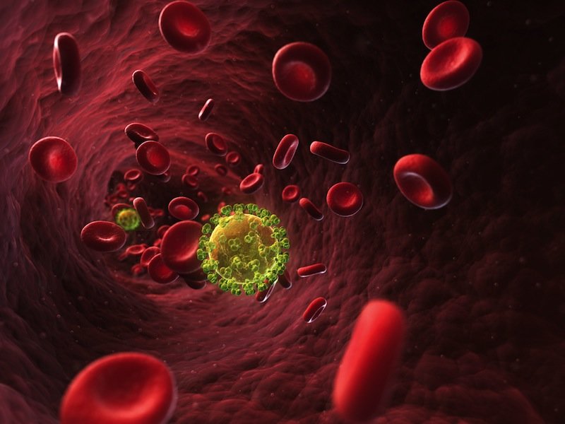 HIV virus