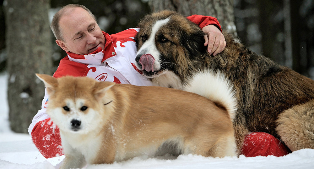 Click to enlarge Putin giving luvvies