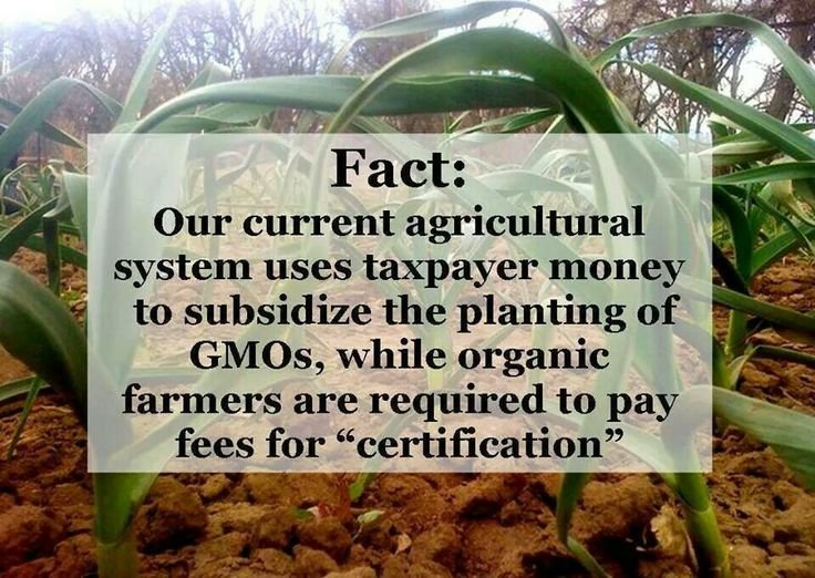 Tax payers GMO