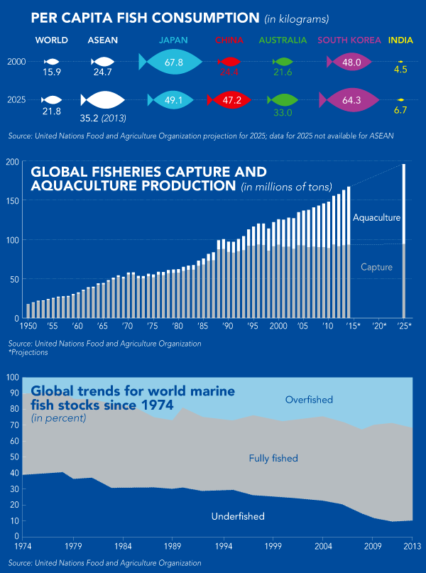 Click to enlarge Fish chart