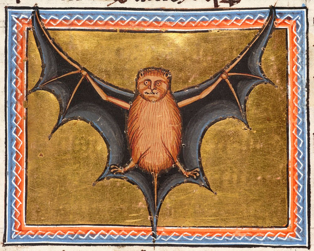 Aberdeen Bestiary Bat