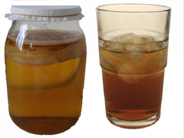 kombucha tea