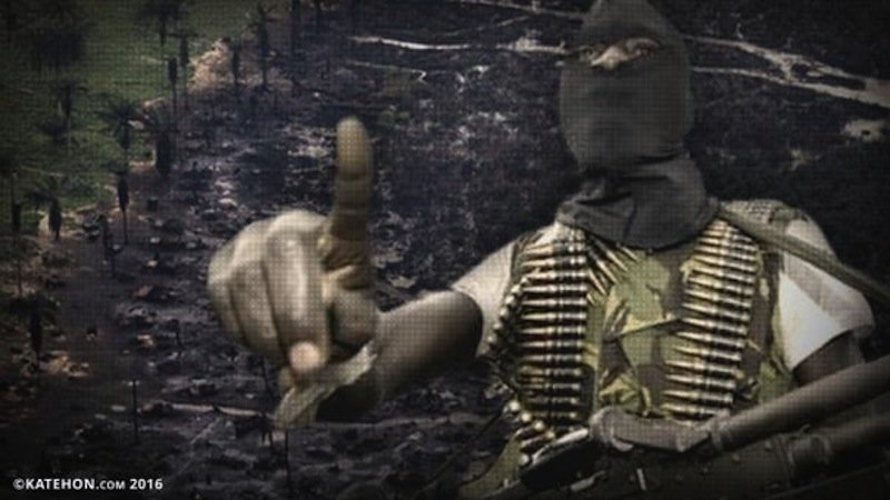 Niger army