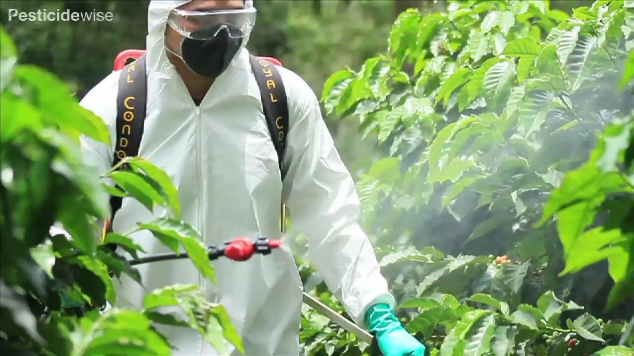 Click to enlarge Pesticide spraying