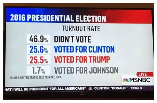 Election News
