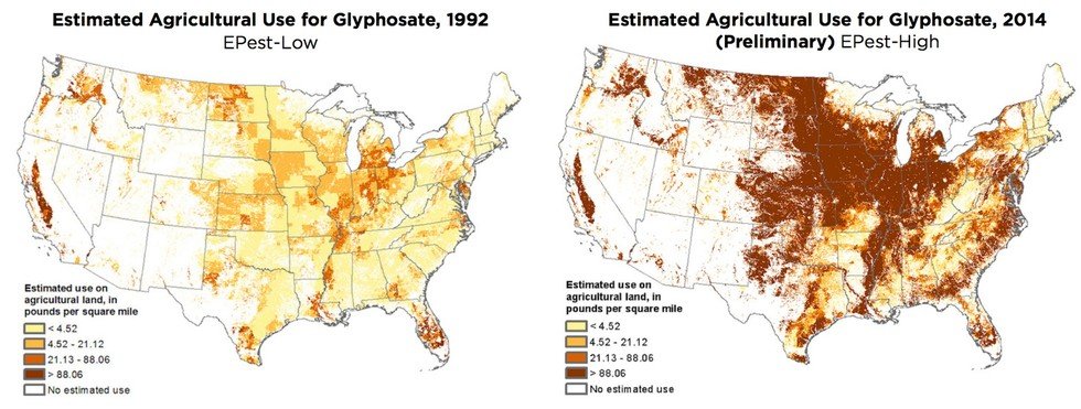 glyphosate