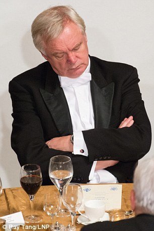 Click to enlarge David Davis