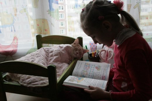 reading for the cat