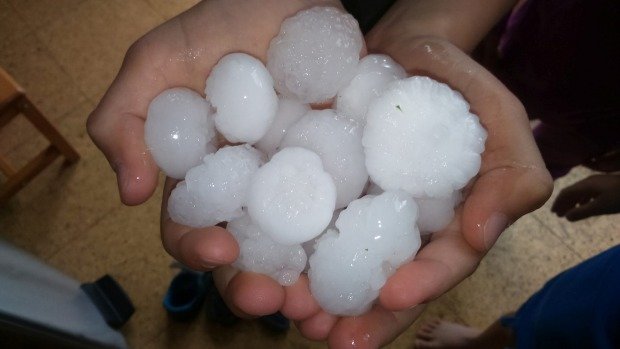 Click to enlarge Large hailstones fell on Ashburton on Wednesday afternoon, including some the size of golf balls.