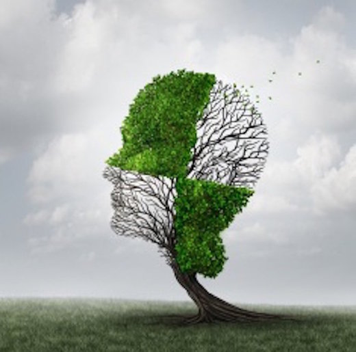 Alzheimers disease