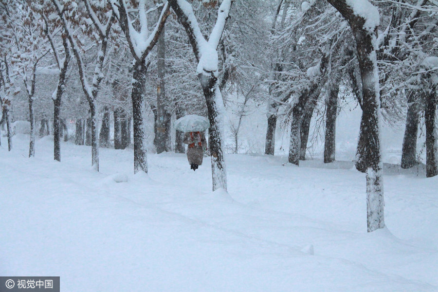 A person holding an umbrella walks in the snow in Atlay in Xinjiang Uygur autonomous region, on November 15, 2016.