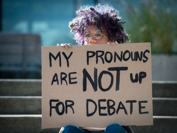 Click to enlarge Transgender pronoun boycott