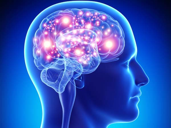 active brain neurons