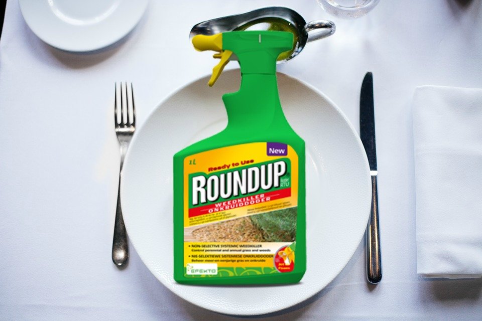 roundup, glyphosate