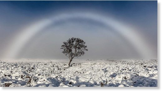 The beautiful fogbow which appeared during Storm Angus 