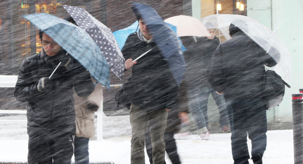 Snowing November in Tokyo