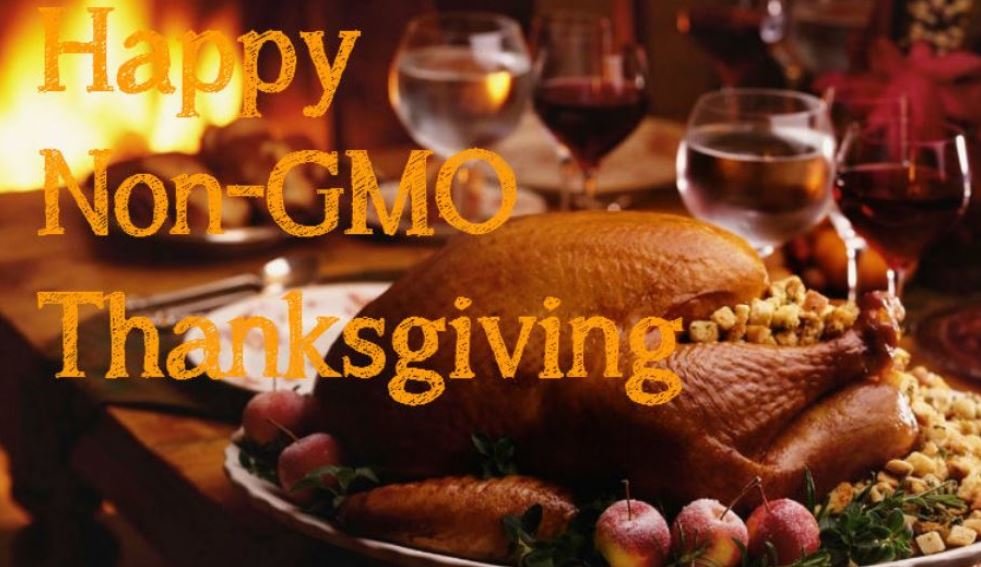 gmo free thanksgiving