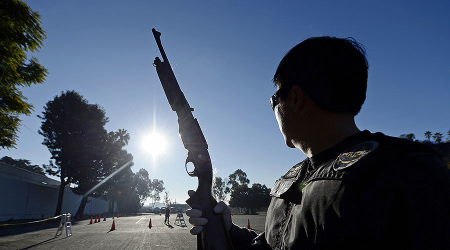 policeman and gun